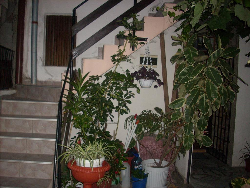 Guest House Pepina Sozopol Zewnętrze zdjęcie